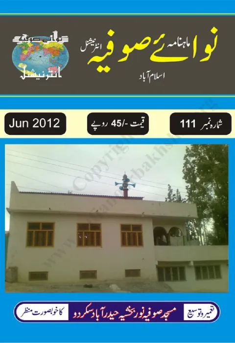 Cover of 111