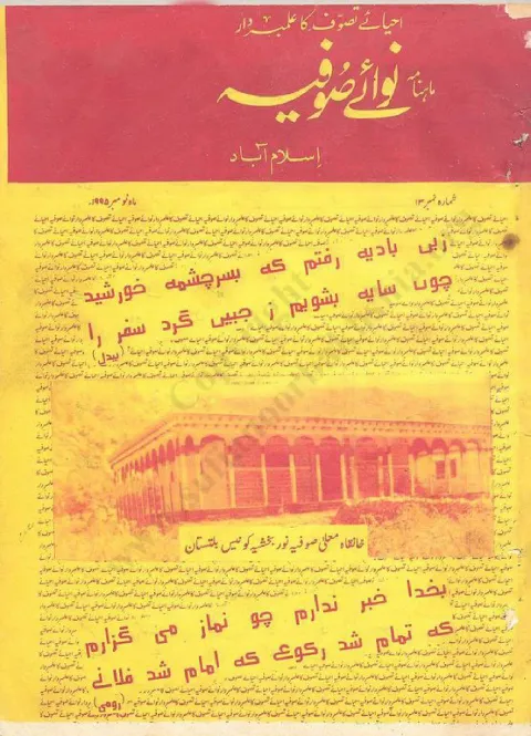 Cover of 13