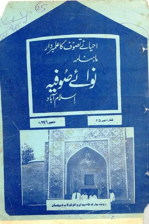Cover of 25