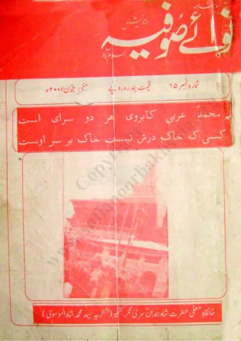 Cover of 65